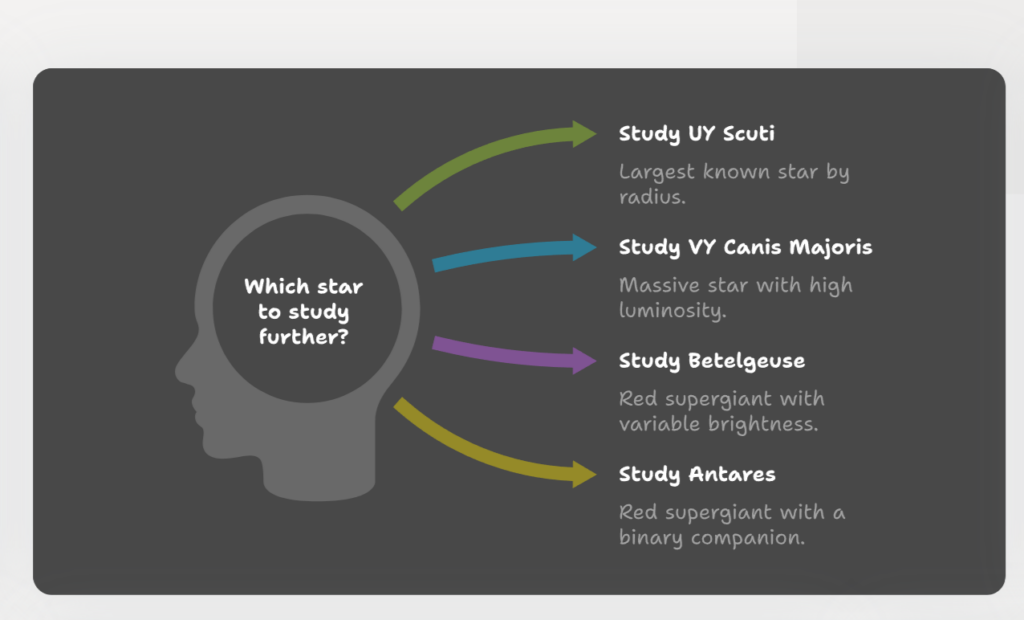 Napkin AI 인포그래픽 변환 예시